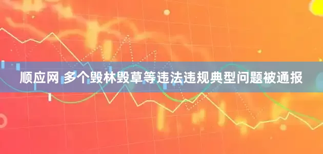 顺应网 多个毁林毁草等违法违规典型问题被通报