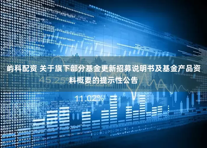 屿科配资 关于旗下部分基金更新招募说明书及基金产品资料概要的提示性公告