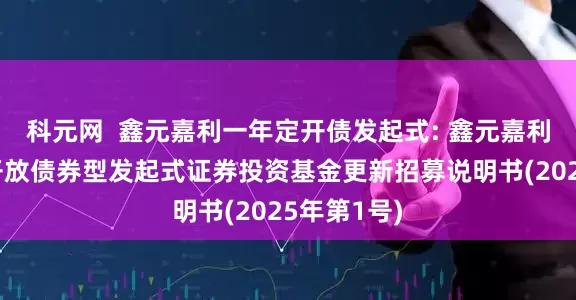 科元网  鑫元嘉利一年定开债发起式: 鑫元嘉利一年定期开放债券型发起式证券投资基金更新招募说明书(2025年第1号)